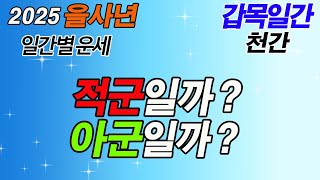 [2025 을사년 일간별 운세]  #갑목일간{천간} - 