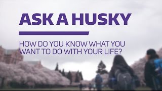 Ask a Husky | How do you know what you want to do with your life?