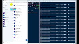 python tkinter flag