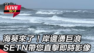 【直播完整版】海葵來了！岸邊湧巨浪　SETN帶您直擊即時影像