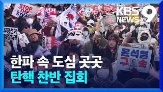 2차 체포영장 발부 후 첫 주말…도심 곳곳 집회 이어져 / KBS  2025.01.11.