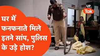 Rampur Snake Rescue news : रामपुर के घर में कैसे घुस गए फनफनाते आधा दर्जन से ज्यादा सांप?