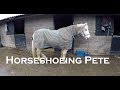 Horseshoeing Pete