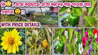 অত্যন্ত সস্তায় বিভিন্ন প্রজাতির গাছের সেরা নার্সারি Biswas Nursery. @NATUREEXPLORER2020