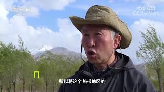 《地理·中国》 20191206 自然奇景·神湖探奇5| CCTV科教