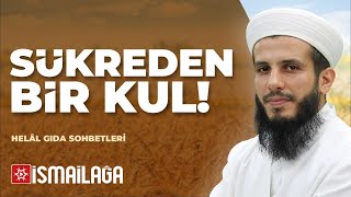 Helal Gıda 4: Şükreden Bir Kul – Mustafa Meral Hoca Efendi