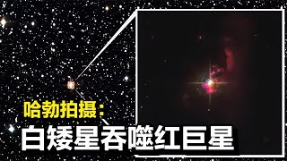 哈勃探測：3400光年外，白矮星吞噬紅巨星驚人景象！ #天文发现 #黑洞观测 #红巨星 #中子星 #太阳系结构