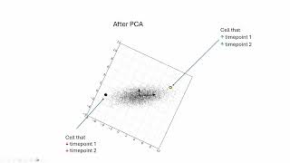 Clustering neural activity using kmeans and spectral methods