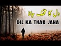 Dil Ka Thak Jana | Spiritual Quotes Compilation Video | Listen the Islam Q.K