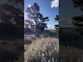 National Arboretum Canberra Australia