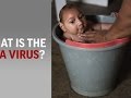 6 Things To Know About Zika Virus