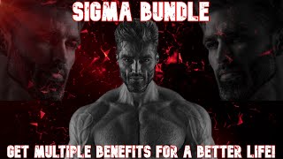 MASCULINE SUBLIMINAL BUNDLE: BECOME A SIGMA MALE AND GAIN MULTIPLE BENEFITS!