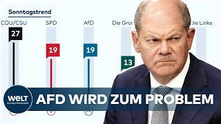 AFD-HYPE KNABBERT AN KANZLER: Scholz tut rechtsradikale Populisten als "Schlechte-Laune Partei" ab