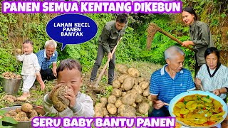 PANEN HABIS KENTANG YANG ADA DI KEBUN,KENTANGNYA LANGSUNG DIMASAK WEIXUN