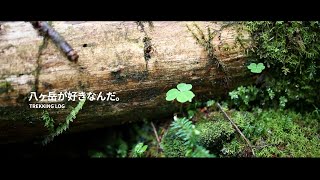 八ヶ岳が好きなんだ。登山動画。 #YAMAP動画コンテスト2021 #PremierePro