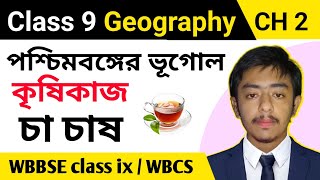 পশ্চিমবঙ্গের ভূগোল || কৃষিকাজ : চা চাষ ( Tea Cultivation ) WBBSE Class ix Geography