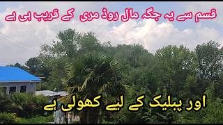 Murree live  mall road  murree map murree update murree roads #murreemallroad #murreelive 10-07-2024