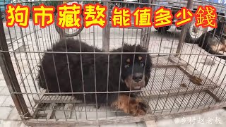 曾经价值上百万的藏獒，如今沦落到狗市，猜猜能卖多少钱？