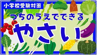 幼児・子供向け知育動画：土の上で育つやさい（小学校受験対策）