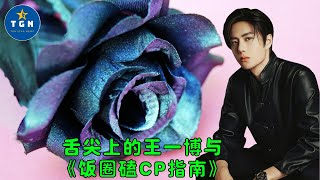 【TGN 通讯2月27日】舌尖上的王一博与《饭圈磕CP指南》