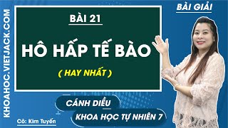 Khoa học tự nhiên 7 Cánh diều Bài 21: Hô hấp tế bào - Giải KHTN 7 - Cô Tuyến (HAY NHẤT)