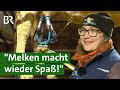 Coole Milchpreise und glückliche Bauern: Täglich Kühe melken - lohnt sich wieder! | Unser Land | BR