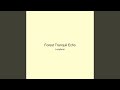 Forest Tranquil Echo