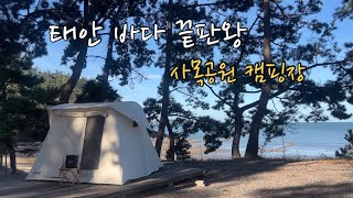 다시 오고 싶은 바다 캠핑장ㅣ캠핑브이로그ㅣ명당자리ㅣ해루질캠핑ㅣ커크햄스트링바ㅣcampㅣcampingㅣ