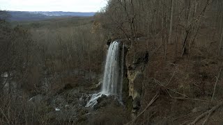 County Agricultural Close-up:  Alleghany County