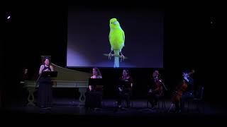 Telemann, Canary Cantata, 2016