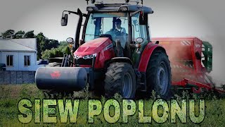 🔥Siew Poplonu 2024🔥 Massey Ferguson 5613\u0026Agro Masz SN-300🔥