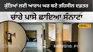 Rajpura protest by tehsildar: ਕੁੱਤਿਆਂ ਲਈ ਆਰਾਮ ਘਰ ਬਣੇ ਤਹਿਸੀਲ ਦਫ਼ਤਰ, ਚਾਰੇ ਪਾਸੇ ਛਾਇਆ ਸੰਨਾਟਾ #local18