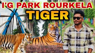 Tiger in ig park Rourkela || I'G Park ROURKELA || Rourkela ig park || tiger I'G Park || rourkela