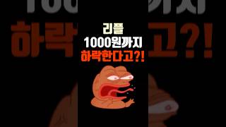 리플 1000원까지 하락한다고?! 결국엔 만원 간다! #리플 #리플만원 #리플3만원 #리플목표가 #리플소송