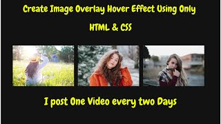 Image Hover Overlay Effect with HTML & CSS - Web Design Tutorial
