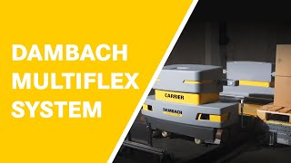 DAMBACH MULTIFLEX - Paletten-Shuttle-System