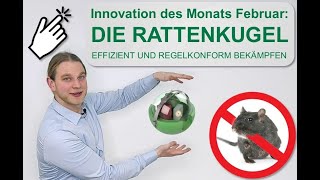 Innovation des Monats Februar: DIE RATTENKUGEL