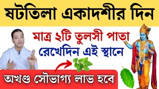 ষটতিলা একাদশীর দিন অবশ্যই করুন এই কাজ || Shattila Ekadashi Vrat Katha 2025