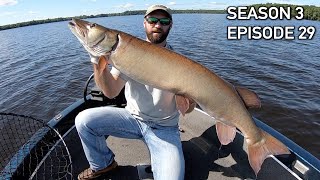 Hunting the RAREST Fish in North America: 50-inch Wisconsin MUSKIE! 35 POUND BEAST CAUGHT! S3.E29