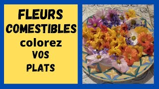 Manger des  FLEURS  COMESTIBLES  - délicieuses sources de vitamines et minéraux !!!