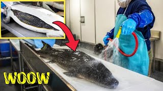 The process of making caviar one of the world stop three delicacies Korean street food | cooking
