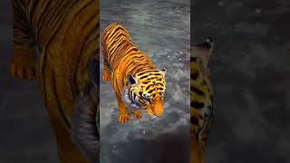 Biggest Blockbuster Tiger অংপুর বিনোদন | Rangpur Entertainment