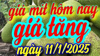 giá mít hôm nay ngày 11/1/20255