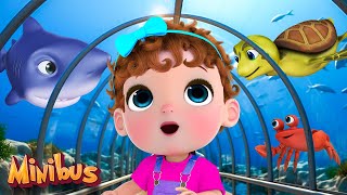 Ocean Animals Song + More Nursery Rhymes & Kids Songs | Minibus