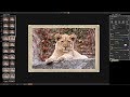 Mastering On1 Photo RAW 2018 - Episode 53: Borders