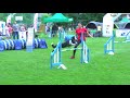 agility lolo pets classic cup competition in poland 33