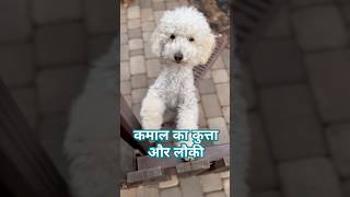 कमाल का कुत्ता और लौकी #youtube #animals #dog