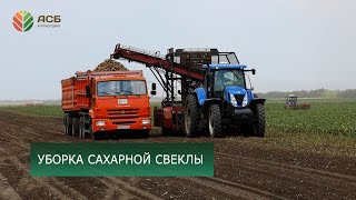 Уборка сахарной свеклы/Отгрузка пшеницы на экспорт/Подготовка семян к посеву/Интернет-мошенники