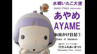 あやめお出かけ日記　AYAME ODEKAKE DIARY