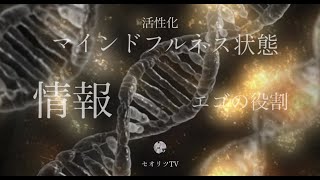 【意識拡大】キャッチする情報が人によって違うのはなぜ？【龍の背中に乗って覚醒】龍神様に応援される自分になるには？瀬織津姫・五感・本質・龍神•スピリチュアル・マインドフルネス